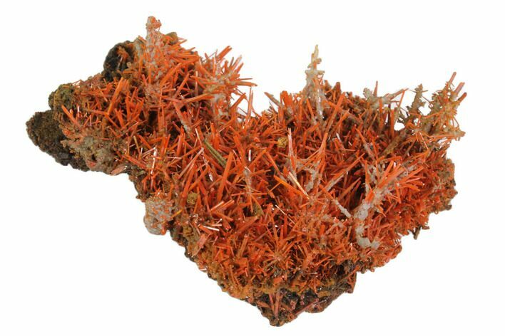 Crocoite With Gibbsite - Adelaide Mine, Tasmania #147979